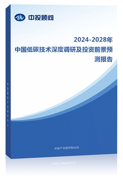 2024-2028年中��低碳技�g深度�{研及投�Y前景�A�y�蟾�