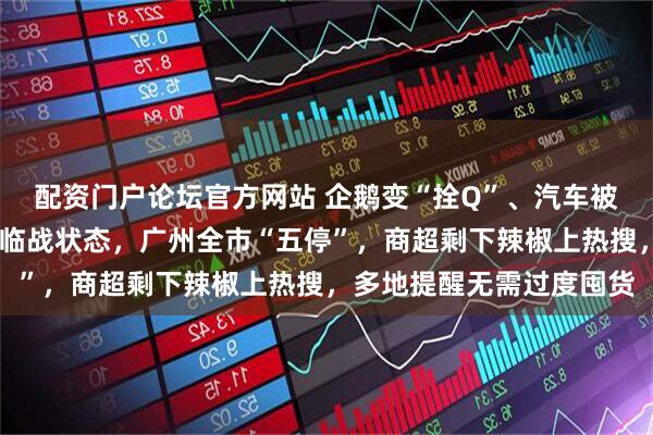 配资门户论坛官方网站 企鹅变“拴Q”、汽车被五花大绑……广东进入临战状态，广州全市“五停”，商超剩下辣椒上热搜，多地提醒无需过度囤货