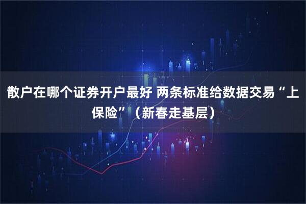 散户在哪个证券开户最好 两条标准给数据交易“上保险”（新春走基层）